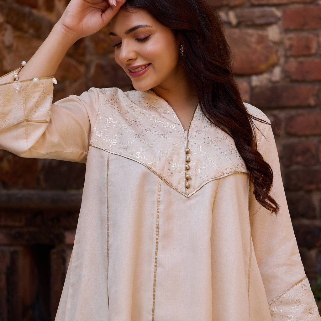 V-Shaped Yoke Design Kurta