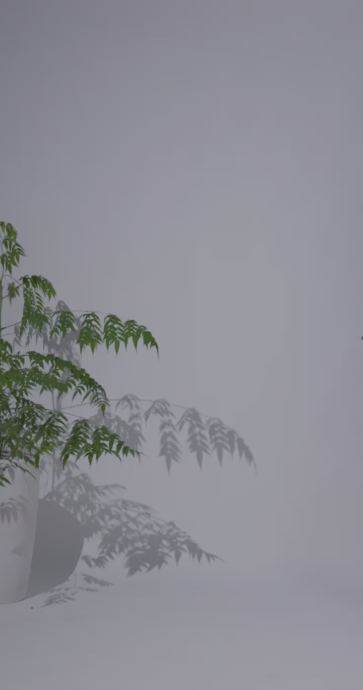 Pinstripe Green - Fine Cotton Kimono Shirt for Women Women's Shirts Women's Shirts